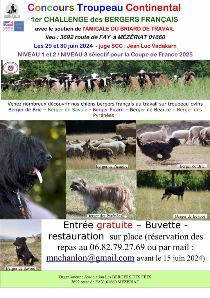 Challenge Bergers Français 2024, concours troupeau continental